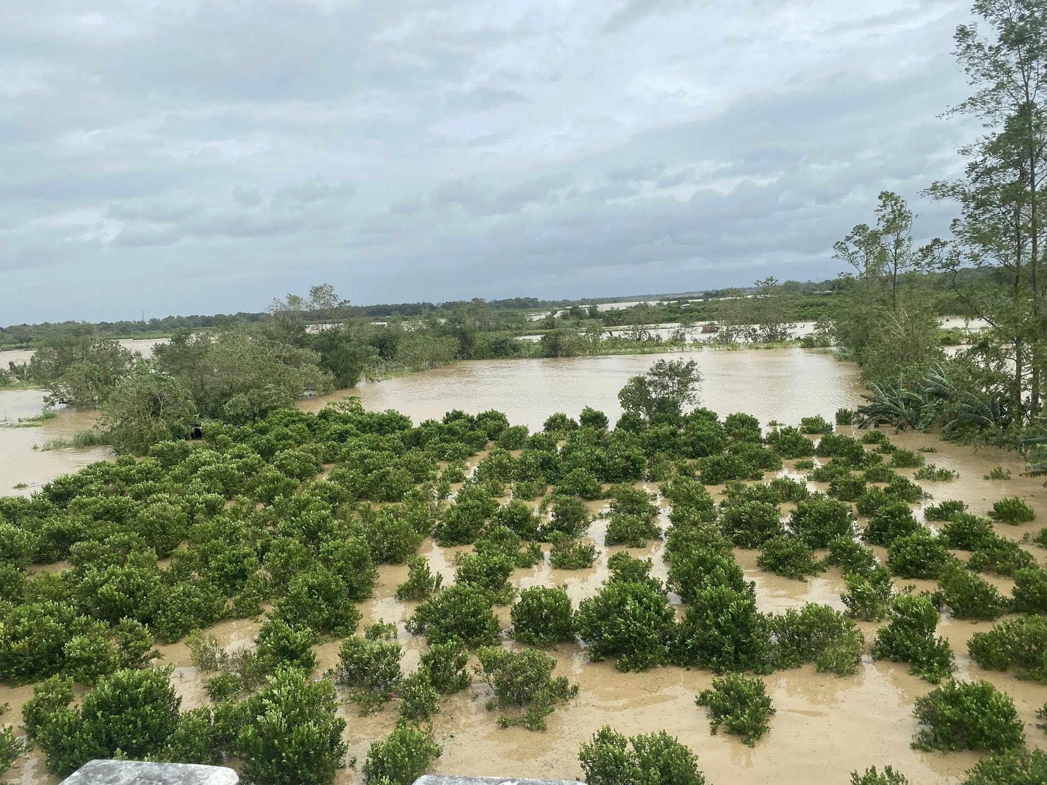 OCD: Uwan kumitil ng 18 buhay; landslide pinakamaraming sanhi ng pagkamatay